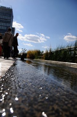 The High Line