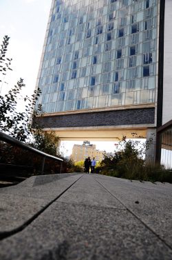 The High Line