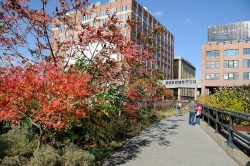 The High Line