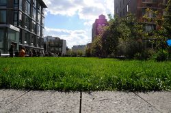 The High Line